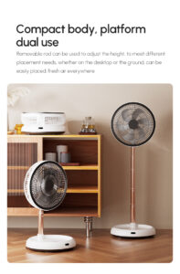 详情页 13 197x300